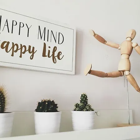 Conk By Casaturistica