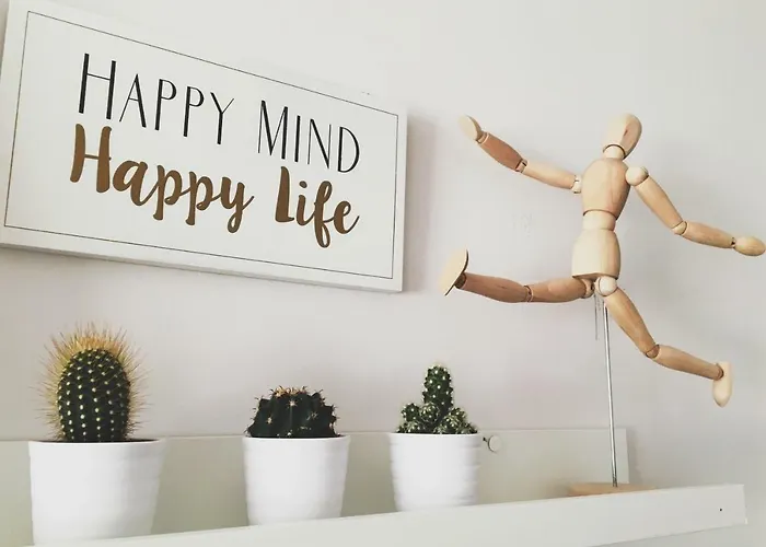 Conk By Casaturistica