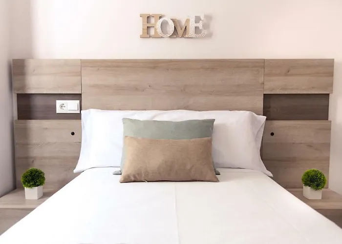 Conk By Casaturistica *